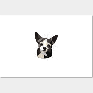 Black Chihuahua Posters and Art